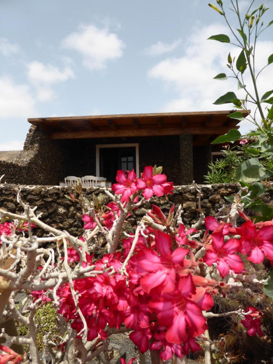 Casita Verde Villa Arrieta  Kültér fotó